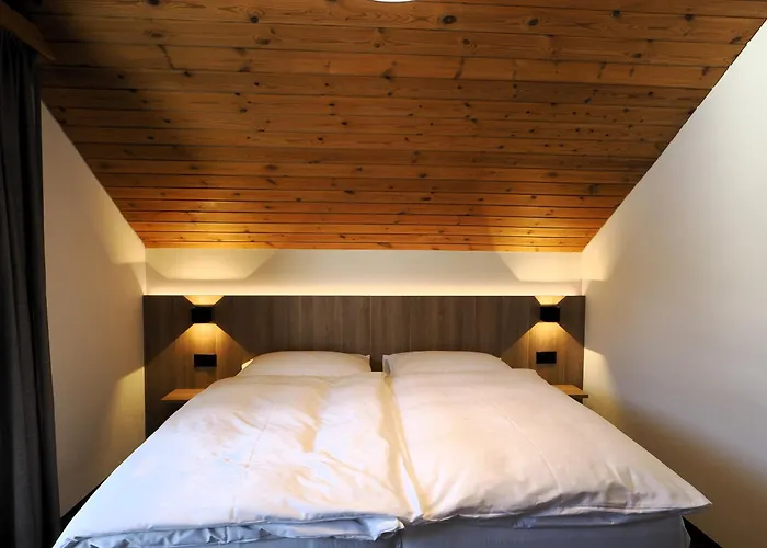 Hotel Alpina Parpan