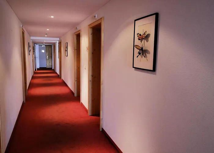 Hotel Alpina Parpan