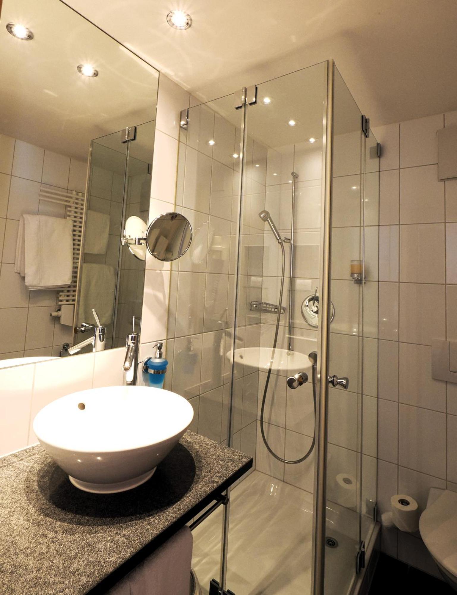 Hotel Alpina 3*
